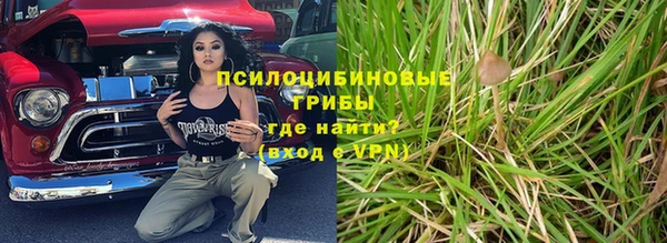 эйфоретик Абинск