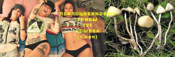 соль курить ск Абаза